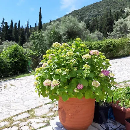 Korakias Seaview Nyaraló *