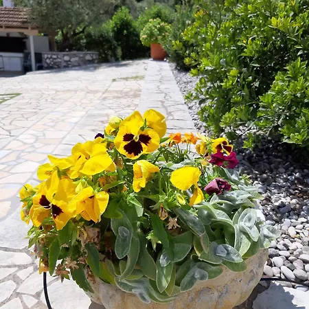 Korakias Seaview * Yénion