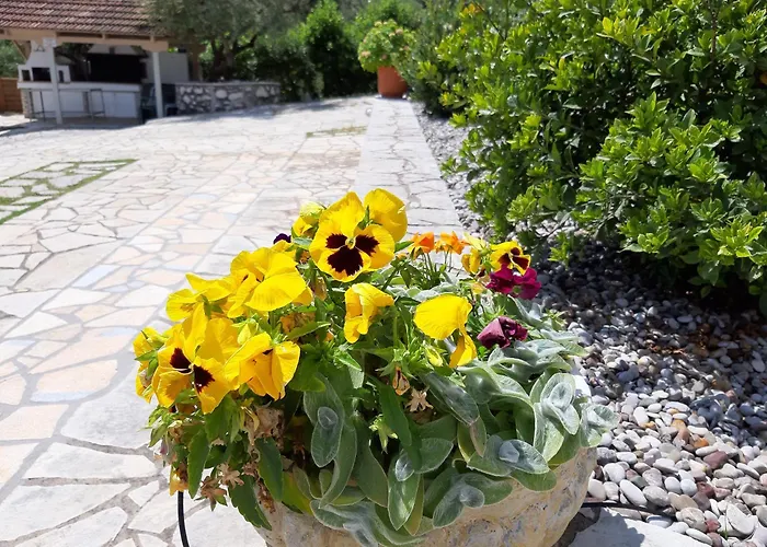 Korakias Seaview * Yénion